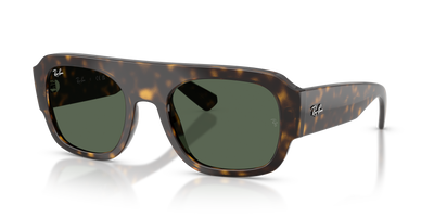 Ray-Ban RB2218 679071 55 22 太阳镜