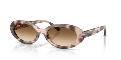 Gafas de Sol Ray-Ban RB2223 144951 54 19