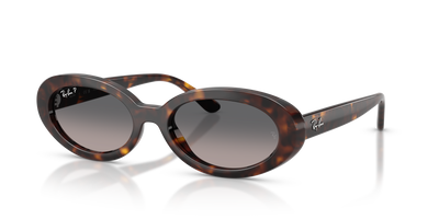 Gafas de Sol Ray-Ban RB2223 902/M3 54 19