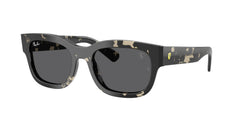 Gafas de Sol Ray-Ban F708EI RB2228M F70387 53 19