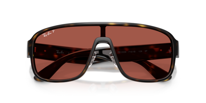 Gafas de Sol Ray-Ban RB2229 710/1B 29 129 — vista 6