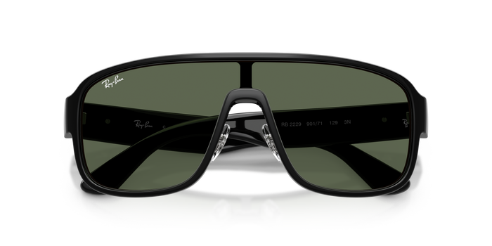 Солнцезащитные очки Ray-Ban RB2229 901/71 29 129 — vista 6