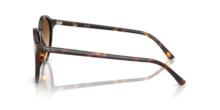 Gafas de Sol Ray-Ban RB2230 902/51 — Imagen 3