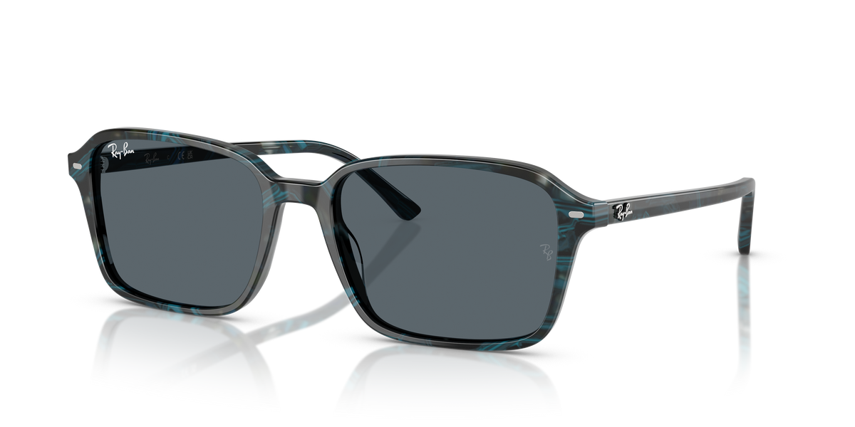 Sunglasses Ray-Ban RAIMOND RB2231 1417R5 58 18