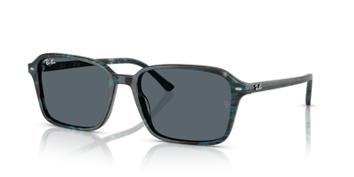 Sunglasses Ray-Ban RAIMOND RB2231 1417R5 58 18