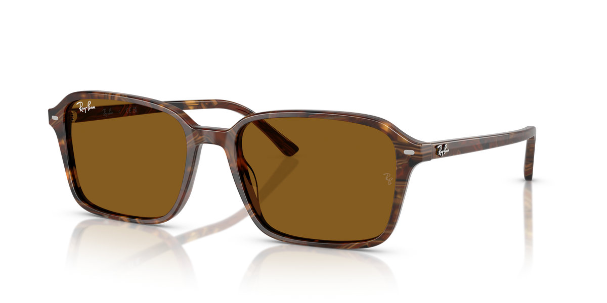 Sunglasses Ray-Ban RAIMOND RB2231 141833