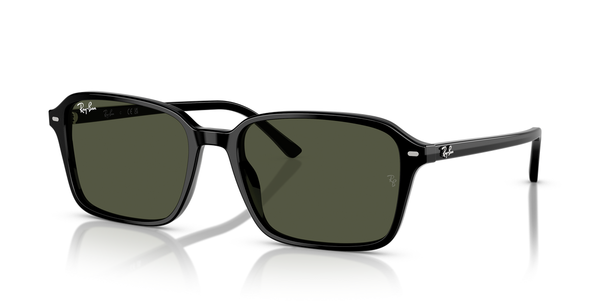 Sonnenbrille Ray-Ban RAIMOND RB2231 901/31 56 18