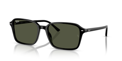 Sunglasses Ray-Ban RAIMOND RB2231 901/31 56 18