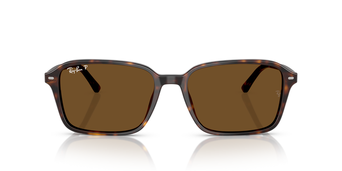 Sunglasses Ray-Ban RAIMOND RB2231 902/57 58 18 — Image 2
