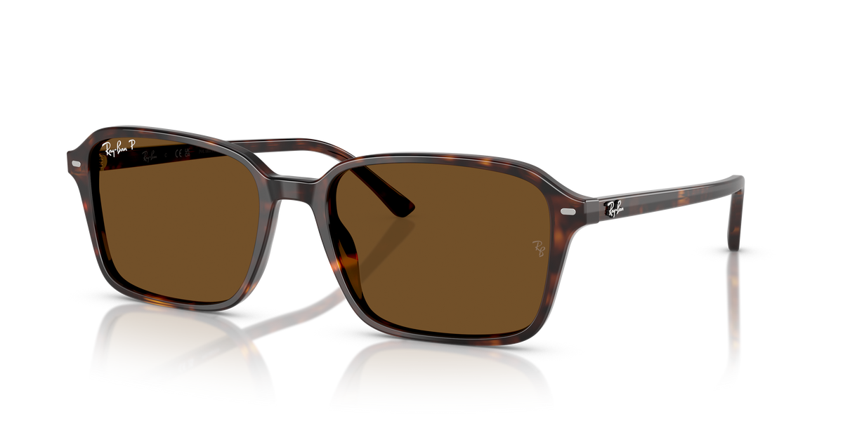 Sunglasses Ray-Ban RAIMOND RB2231 902/57 58 18