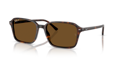 Sunglasses Ray-Ban RAIMOND RB2231 902/57 58 18