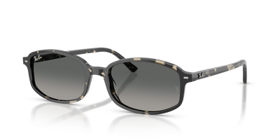 Ray-Ban RB2232 133371 太阳镜