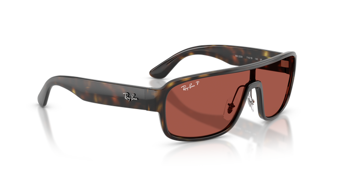 Gafas de Sol Ray-Ban RB2233 710/1B 29 129 — vista 4