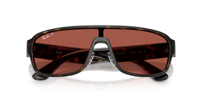 Gafas de Sol Ray-Ban RB2233 710/1B 29 129 — vista 6