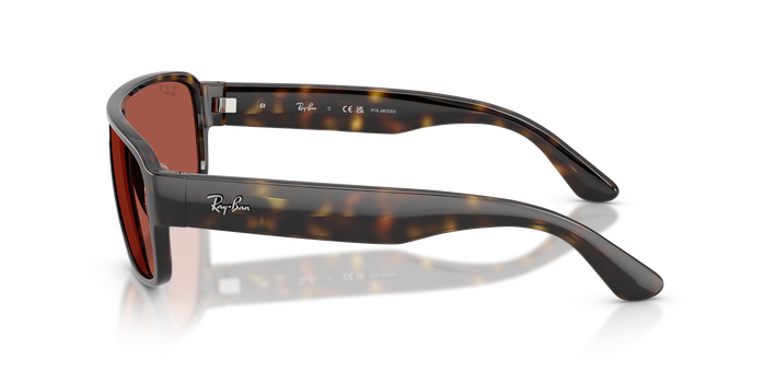 Gafas de Sol Ray-Ban RB2233 710/1B 29 129 — vista 2