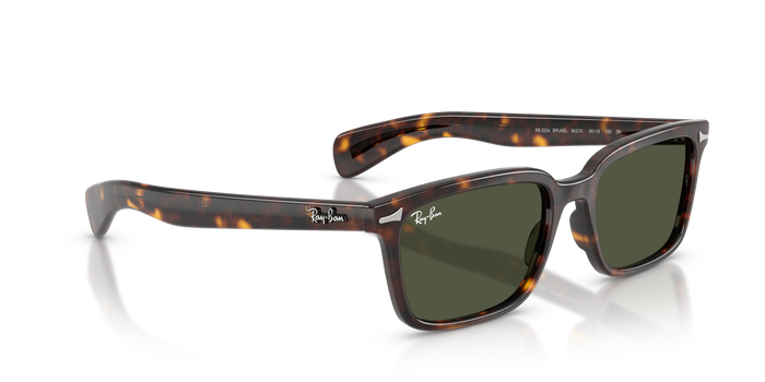Gafas de Sol Ray-Ban Brunel RB2234 902/31 53 / 56 19 — vista 4