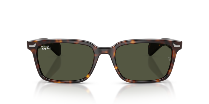 Gafas de Sol Ray-Ban Brunel RB2234 902/31 53 / 56 19 — vista 5