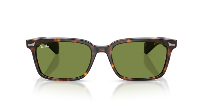 Gafas de Sol Ray-Ban Brunel RB2234 902/4E 53 / 56 19 — vista 5