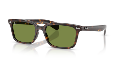 Солнцезащитные очки Ray-Ban Brunel RB2234 902/4E 53 / 56 19