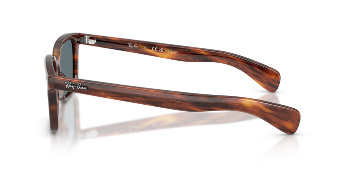 Gafas de Sol Ray-Ban Brunel RB2234 954/3R 53 / 56 19 — vista 2