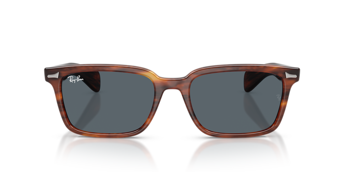 Gafas de Sol Ray-Ban Brunel RB2234 954/R5 53 / 56 19 — vista 5