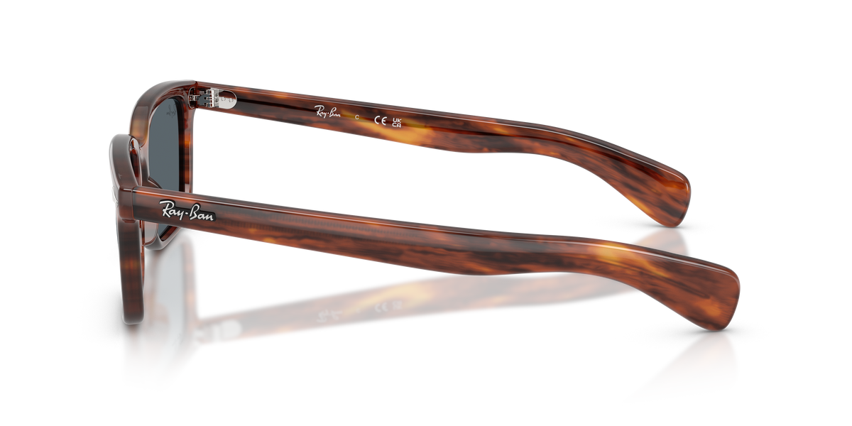 太阳镜 Ray-Ban Brunel RB2234 954/R5 53 / 56 19