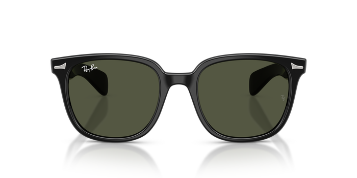 Gafas de Sol Ray-Ban Brunel Ii RB2235 901/31 53 20 — vista 5
