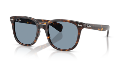 Gafas de Sol Ray-Ban Brunel Ii RB2235 902/56 53 20