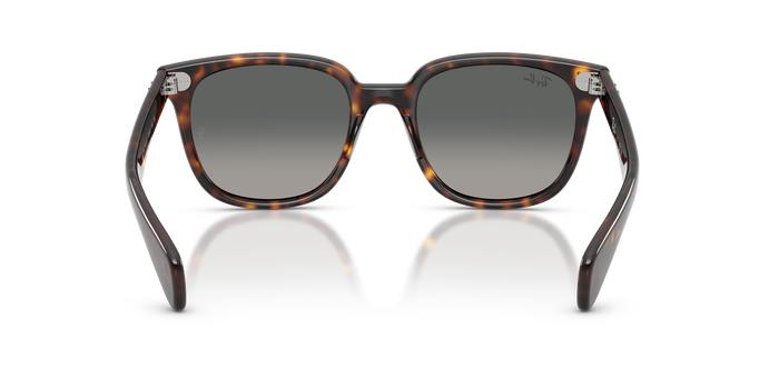 Gafas de Sol Ray-Ban Brunel Ii RB2235 902/71 53 20 — vista 3