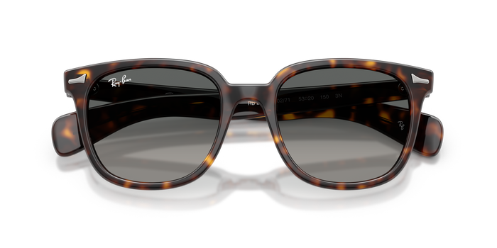 Gafas de Sol Ray-Ban Brunel Ii RB2235 902/71 53 20 — vista 6