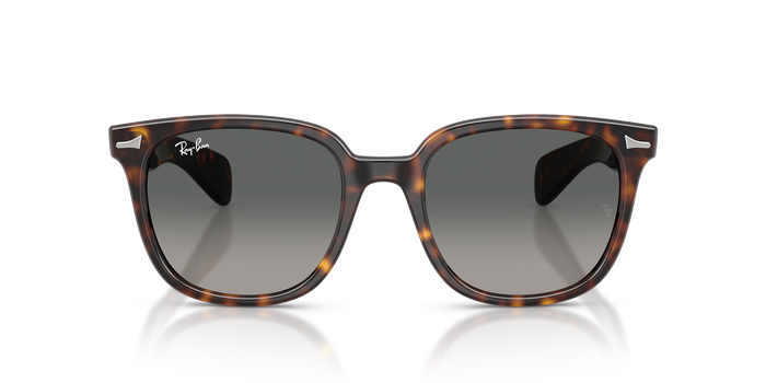 Gafas de Sol Ray-Ban Brunel Ii RB2235 902/71 53 20 — vista 5