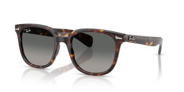 Gafas de Sol Ray-Ban Brunel Ii RB2235 902/71 53 20 · 1