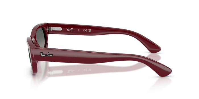 Солнцезащитные очки Ray-Ban RB2236 689971 54 20 — vista 2