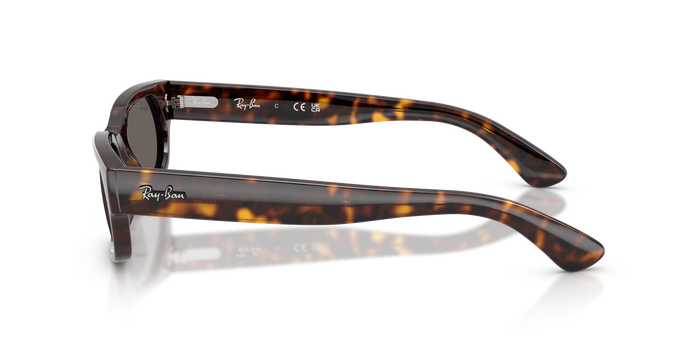 Gafas de Sol Ray-Ban RB2236 902/B1 54 20 — vista 2