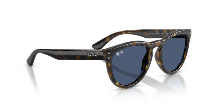 Gafas de Sol Ray-Ban RB2237 710/80 51 20 — vista 4