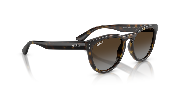 Солнцезащитные очки Ray-Ban RB2237 710/T5 51 20 — vista 4
