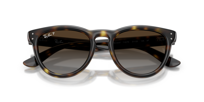 Солнцезащитные очки Ray-Ban RB2237 710/T5 51 20 — vista 6