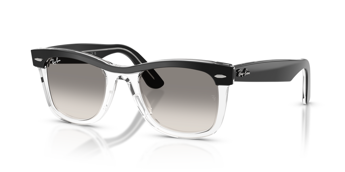 Sunglasses Ray-Ban WAYFARER RB2240 129432 50 22