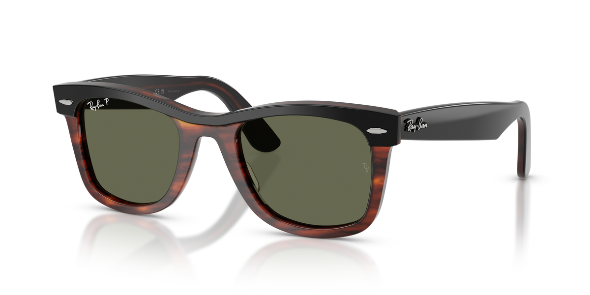 Sunglasses Ray-Ban WAYFARER RB2240 144058 50 22