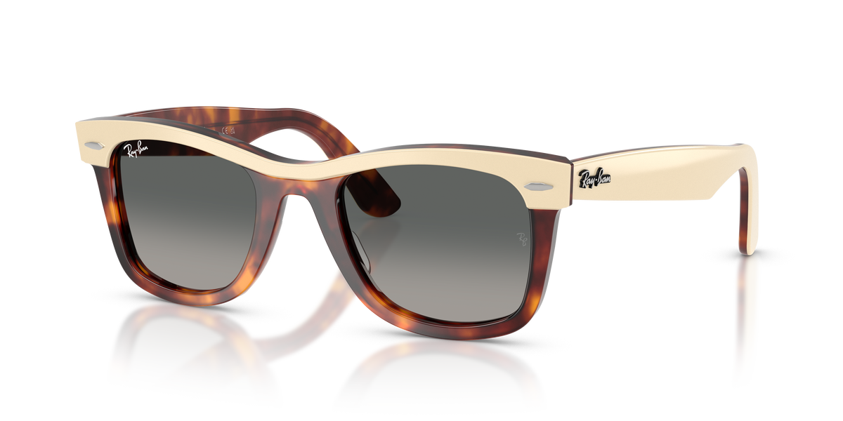 Ray-Ban WAYFARER RB2240 144371 50 22 太阳镜