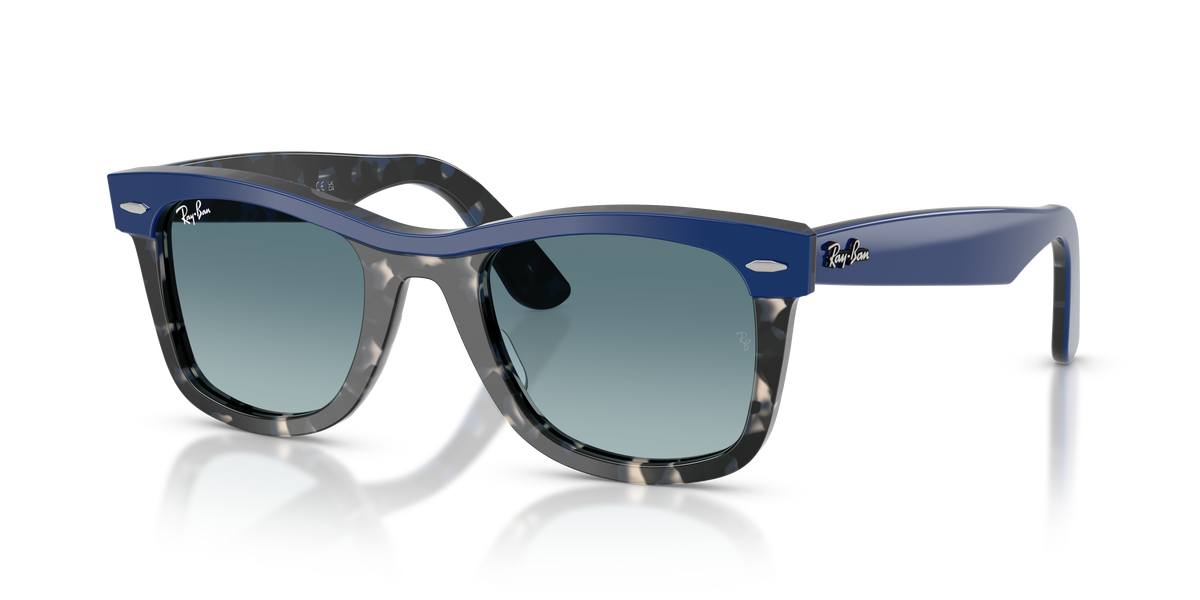 Sunglasses Ray-Ban WAYFARER RB2240 14453M 50 22