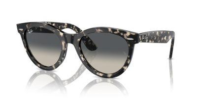 Sunglasses Ray-Ban WAYFARER WAY RB2241 133371 51 21