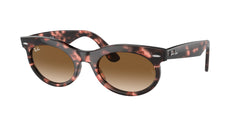 Sunglasses Ray-Ban WAYFARER OVAL RB2242 133451