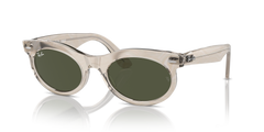 Sunglasses Ray-Ban WAYFARER OVAL RB2242 138331 53 22