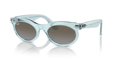 Sunglasses Ray-Ban WAYFARER OVAL RB2242 138596 53 22