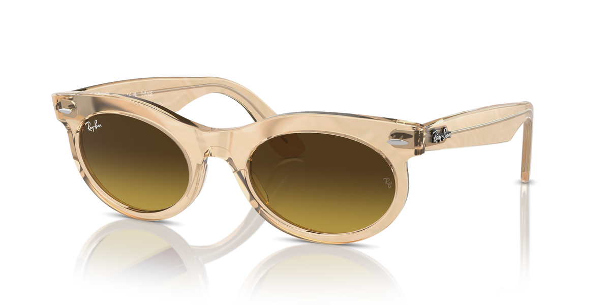 Sunglasses Ray-Ban WAYFARER OVAL RB2242 138685 53 22