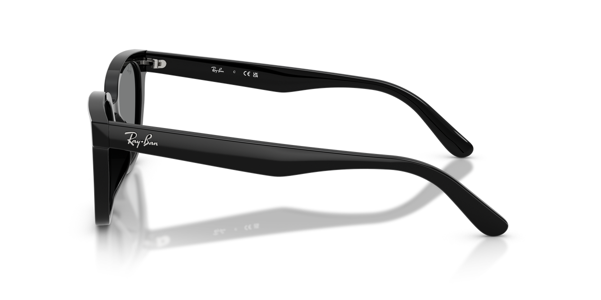 Gafas de Sol Ray-Ban RB2243D 901/87 55 19