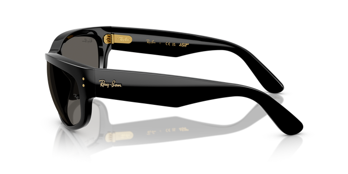Gafas de Sol Ray-Ban MEGA BALORAMA RB2289 6826J5 — Imagen 3