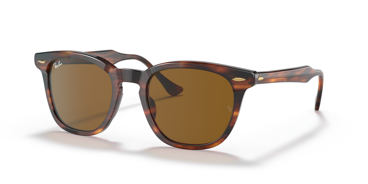 Ray-Ban HAWKEYE RB2298 954/33 52 21 太阳镜