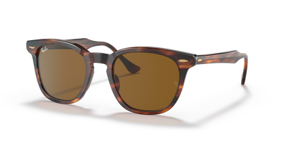 Ray-Ban HAWKEYE RB2298 954/33 52 21 太阳镜